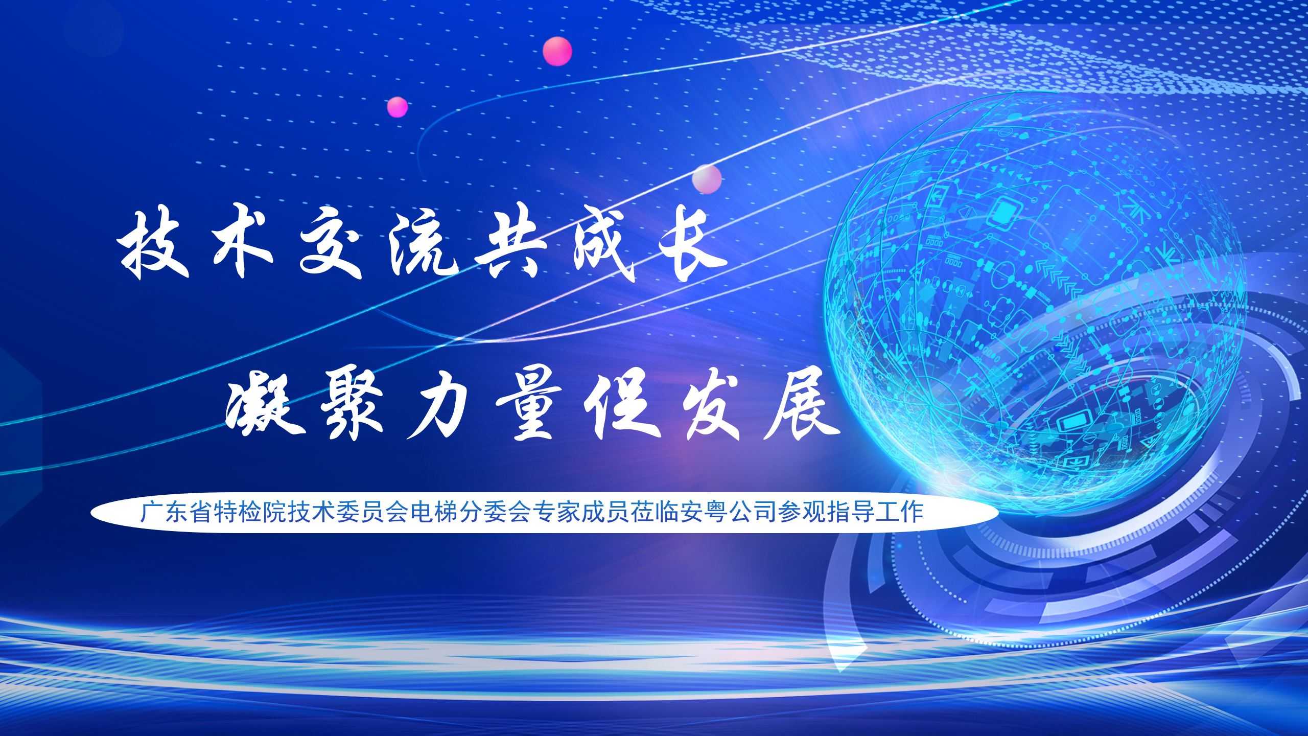 廣東省特檢院技術(shù)委員會(huì)電梯分委會(huì)專(zhuān)家成員蒞臨安粵公司參觀(guān)指導(dǎo)工作